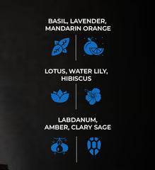 Alize 7 – EDP for Men | Fresh, Aquatic & Long-Lasting