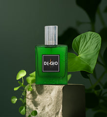 DI-GIO by Alize Perfumes – Eau de Parfum