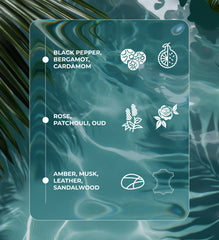 Royal Black – Bold & Sophisticated Oud Perfume