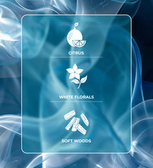 Alize White – Clean, Feminine & Soft Citrus Floral Perfume | Alize Perfumes