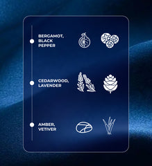 Barrister – Sophisticated & Masculine Power Scent | Alize Perfumes