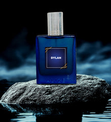 Alize Dylan Eau de Parfum – Bold Aquatic Elegance for Men