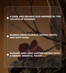 Alize Kashmiri Oud Attar