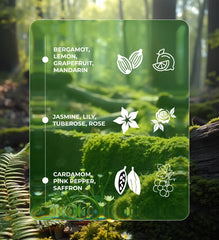 Alize Oud Al-Arab Eau de Parfum – 75ml