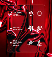 Alize Perfumes - White Musk Eau De Parfum | Soft, Clean & Comforting Scent