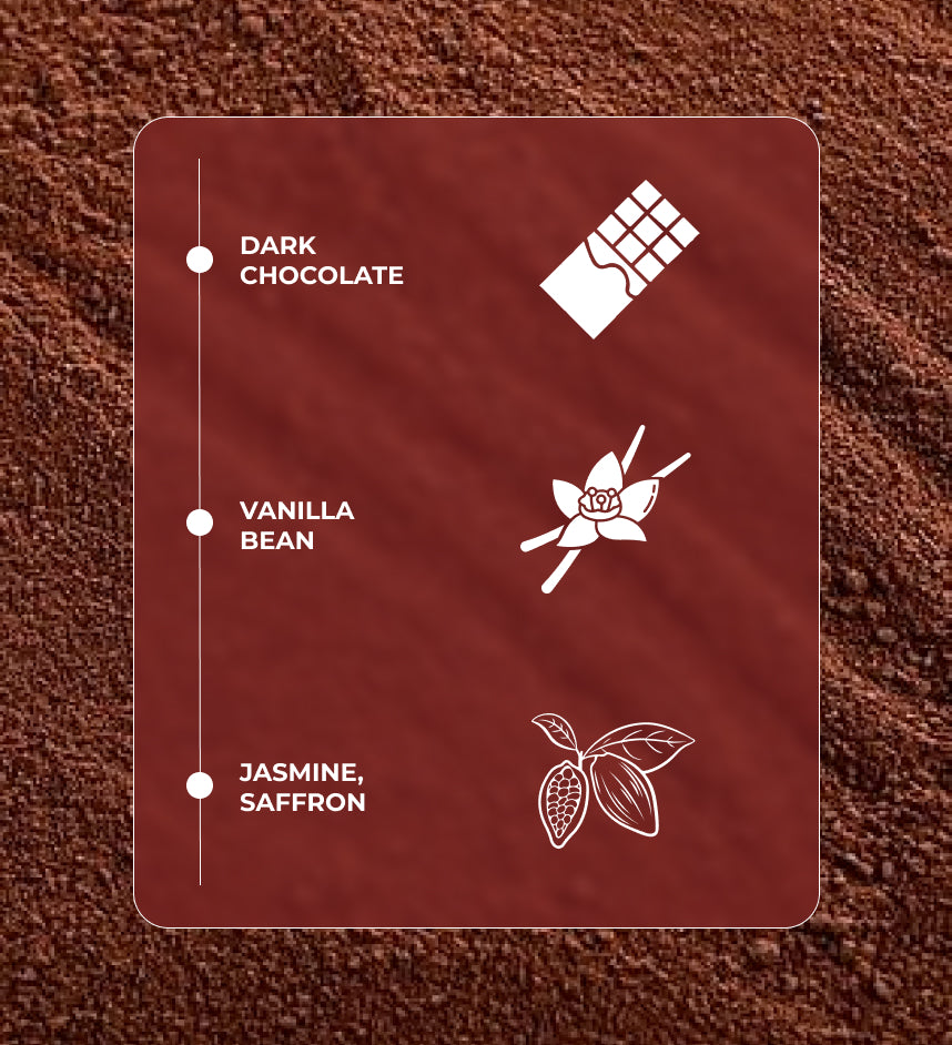 Chocolate Musk – Warm, Sweet & Sensual Perfume | Alize Perfumes